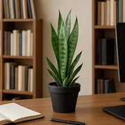Pianta di Sansevieria, altezza 40 cm, pianta in plastica con vaso robusto, pianta per interni e esterni, decorazione per casa, giardino e ufficio