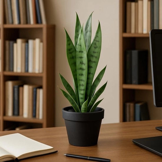 Pianta di Sansevieria, altezza 40 cm, pianta in plastica con vaso robusto, pianta per interni e esterni, decorazione per casa, giardino e ufficio
