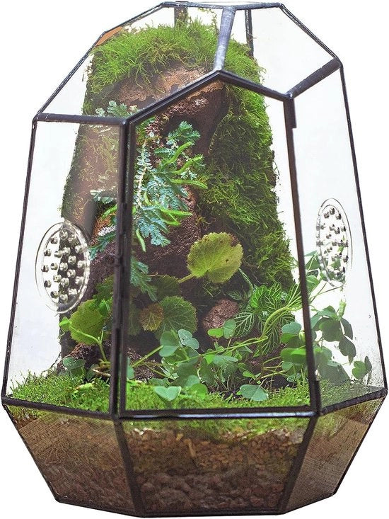 Terrario in Vetro Geometrico con Porta e 2 Fori di Aerazione per Insetti Succulente Cactacee - Vaso di Vetro Nero con Alloggiamento Irregolare - Decorazione di Giardino Indoor Casa 20x17,5x25