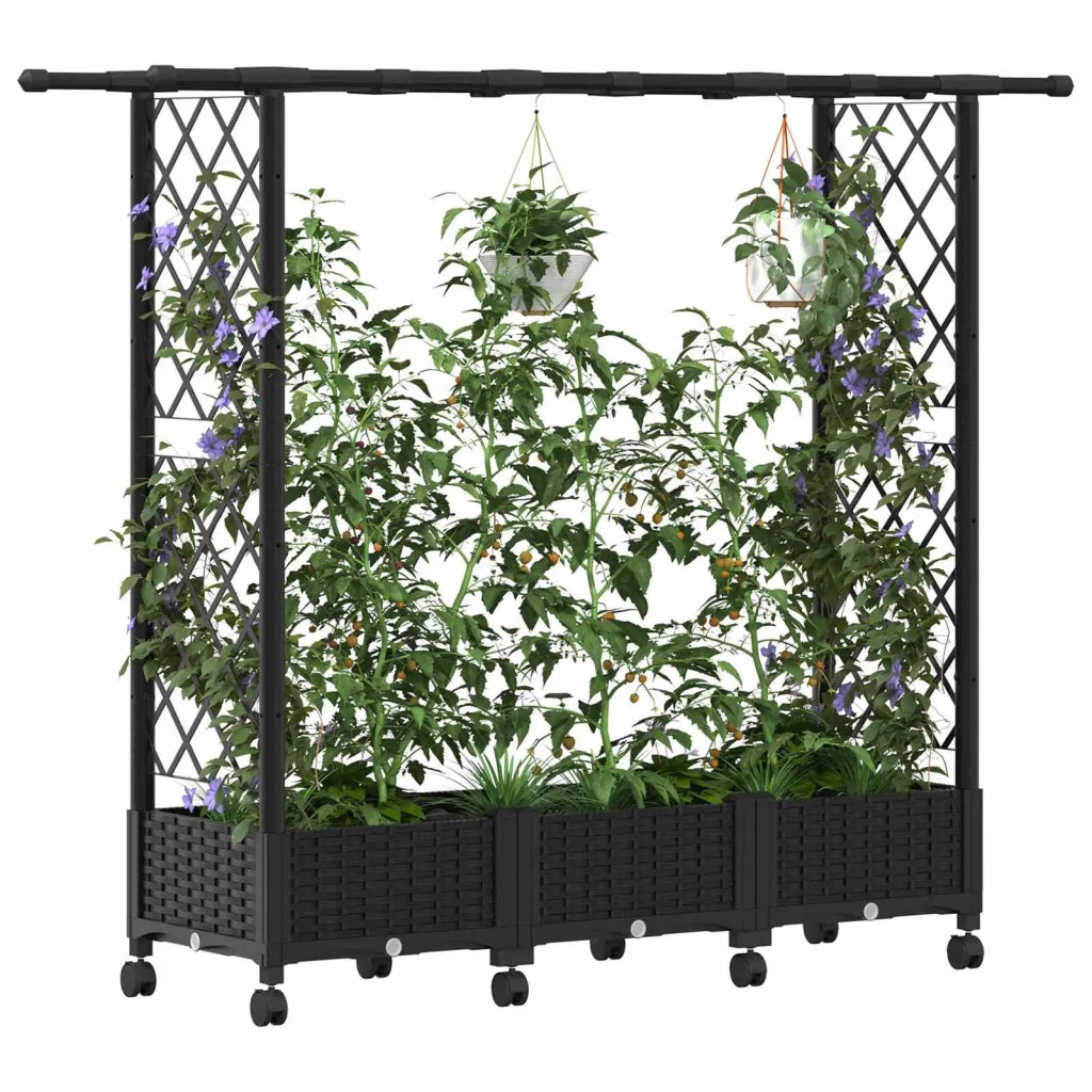 Letto Rialzato con Griglia e Tetto Nero 164 x 40 x 127 cm PP 3423113