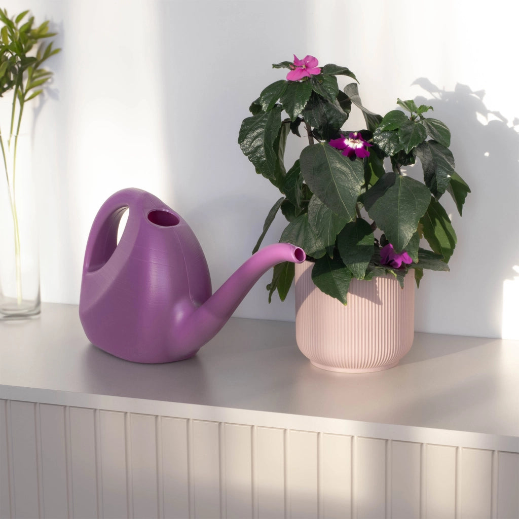 Annaffiatoio KADAX da 2 litri per giardino e casa, ideale per innaffiare fiori e piante. Piccolo, in plastica.