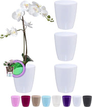 Pannelli per orchidee - sistema autosufficiente - set da 4 - bianco - 15 cm