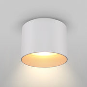 Plafoniera Ceiling & Wall in Alluminio Planet Bianco