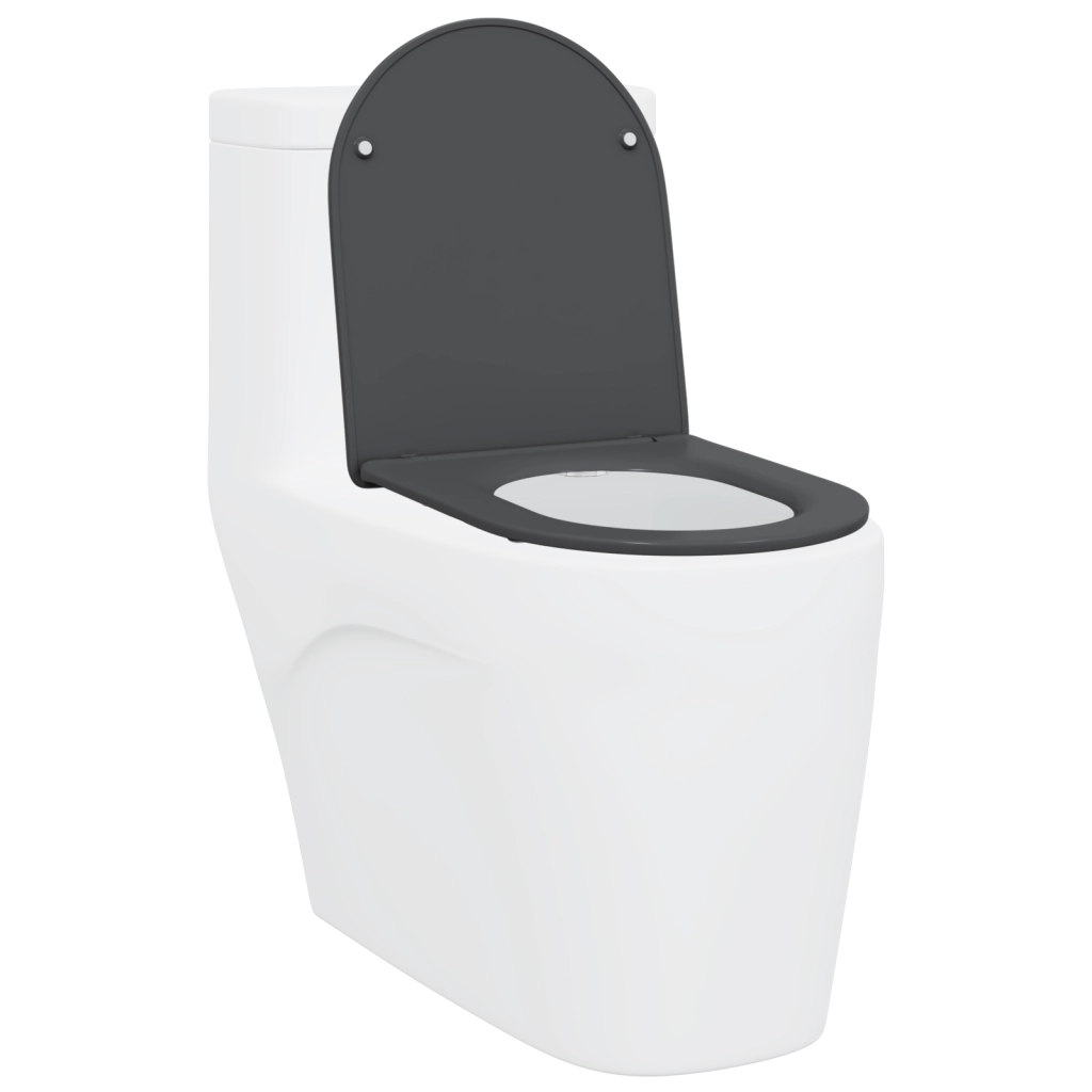 Sedile del WC con Chiusura Morbida in Duroplast Antracite di