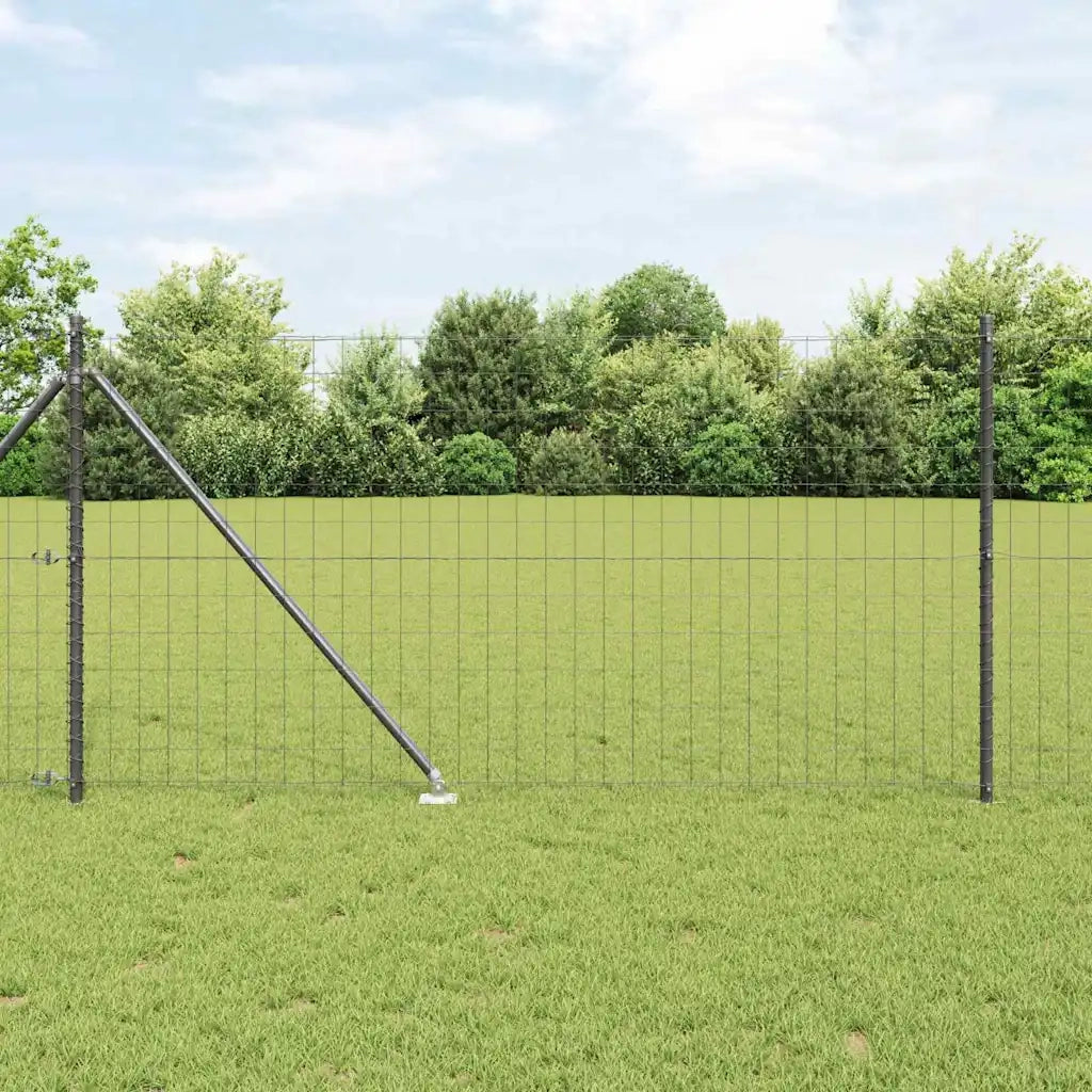 Recinzione da Giardino | Recinzione con Posto Grigio 1 x 10 m Acciaio e PVC