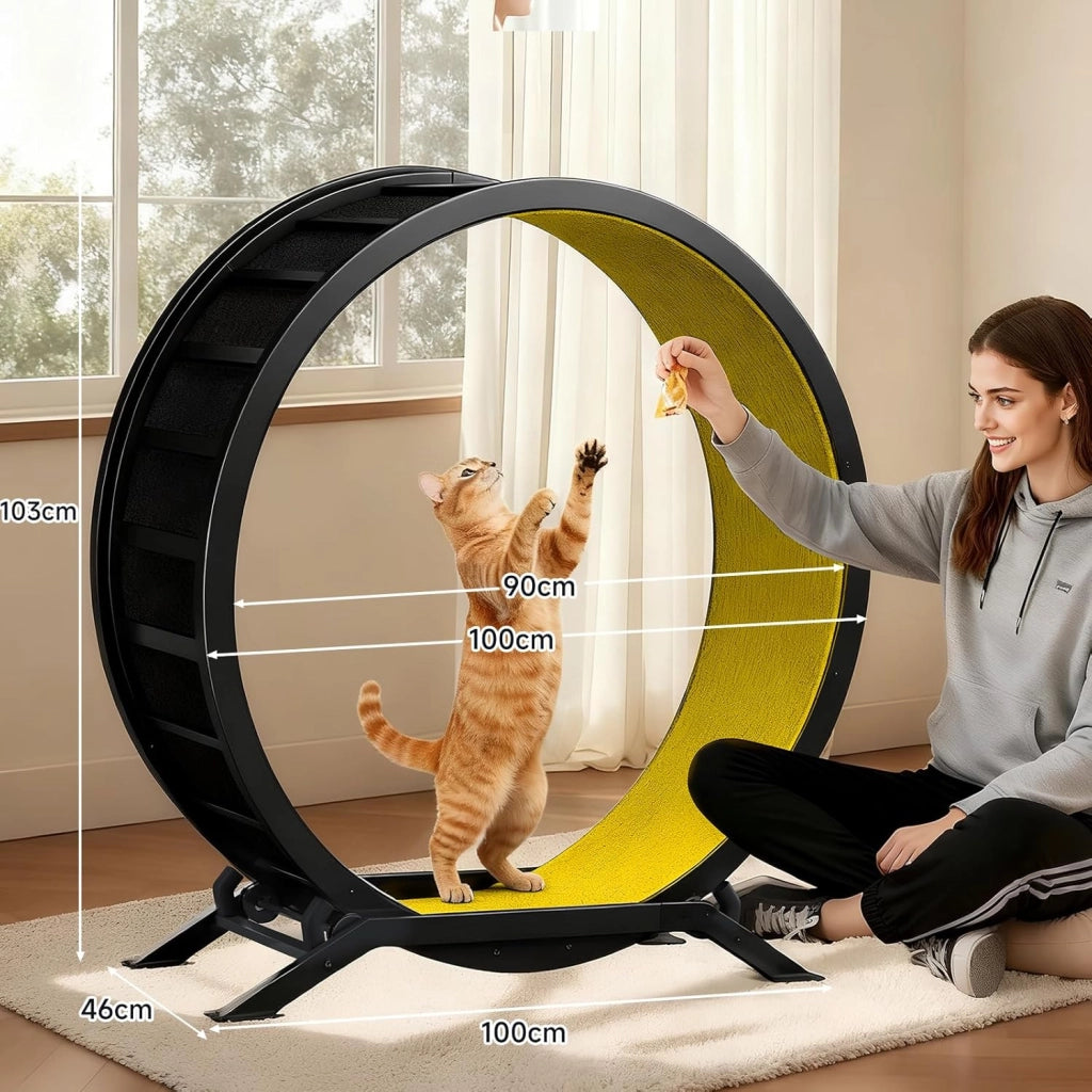 Ruota per gatti, ruota per esercizi per gatti, XL- 100 cm, ultra silenziosa con tappetino rimovibile, adesivi, sistema di bloccaggio, metallo, giallo, regali per il vostro gatto