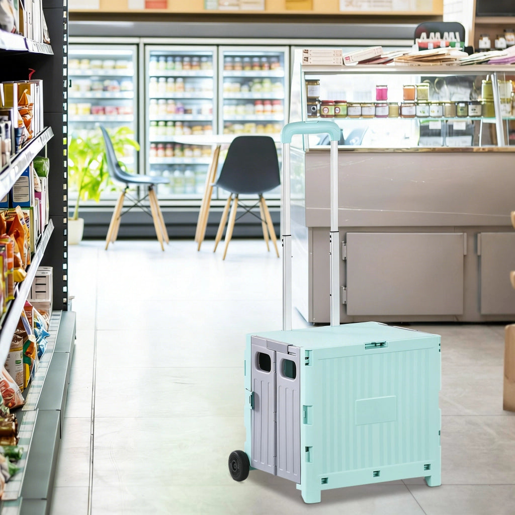 Carrello per Supermercato con 2 Ruote ¨C zephmum ¨C Verde 41.5x32.5x85 cm