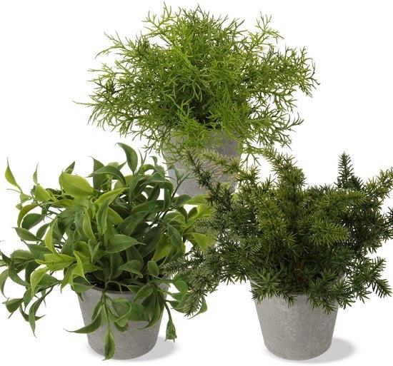 Miniatura di piante artificiali eucalipto rosmarino erbe in contenitore in cemento decorazione per bagno ufficio cucina giardino decorazione set da 2