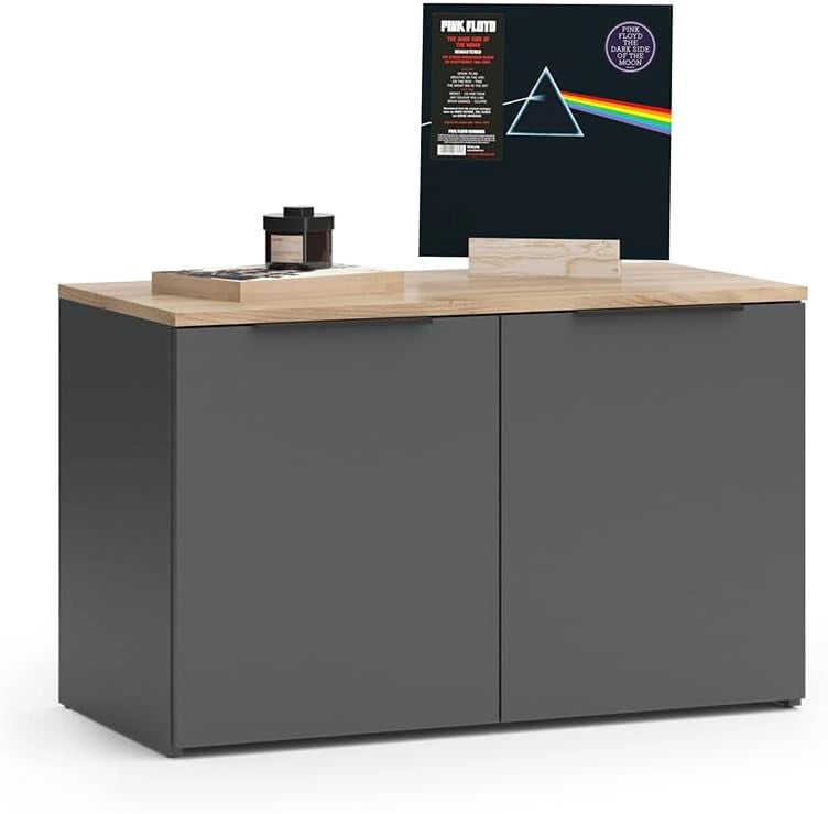 Credenza Wido, Antracite, 80 x 50 cm con 2 porte, adatto per riporre abiti e oggetti per la casa