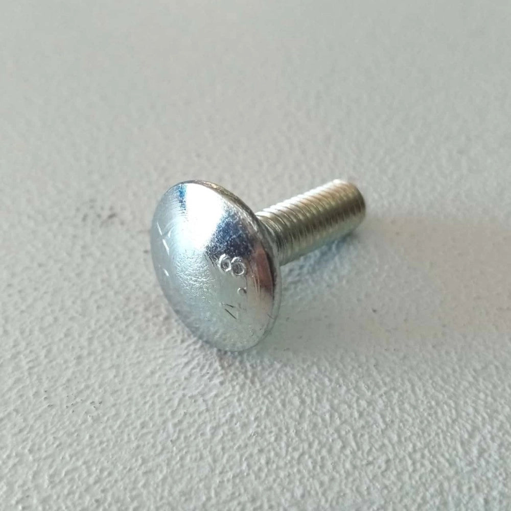 Vite carrettiere 6x25mm - 10pz vite metrica testa tonda con quadro sottotesta bassa resistenza