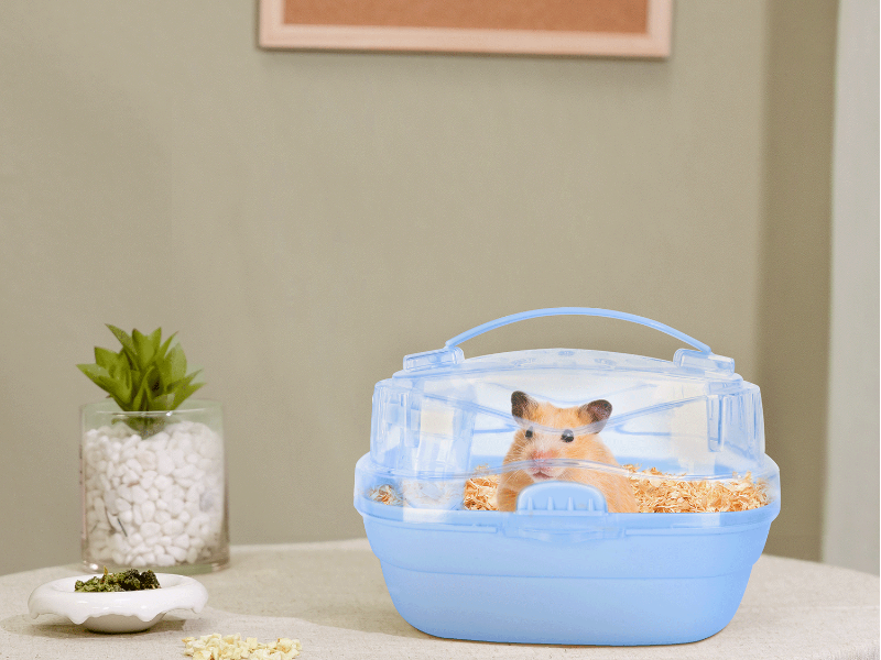 Gabbia portatile per criceti blu in resina K e polipropilene con abbeveratoio