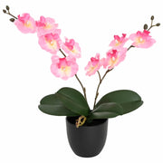 Pianta di Orchidea Artificiale Rosa 36 x 10 x 30 cm CFW4394144