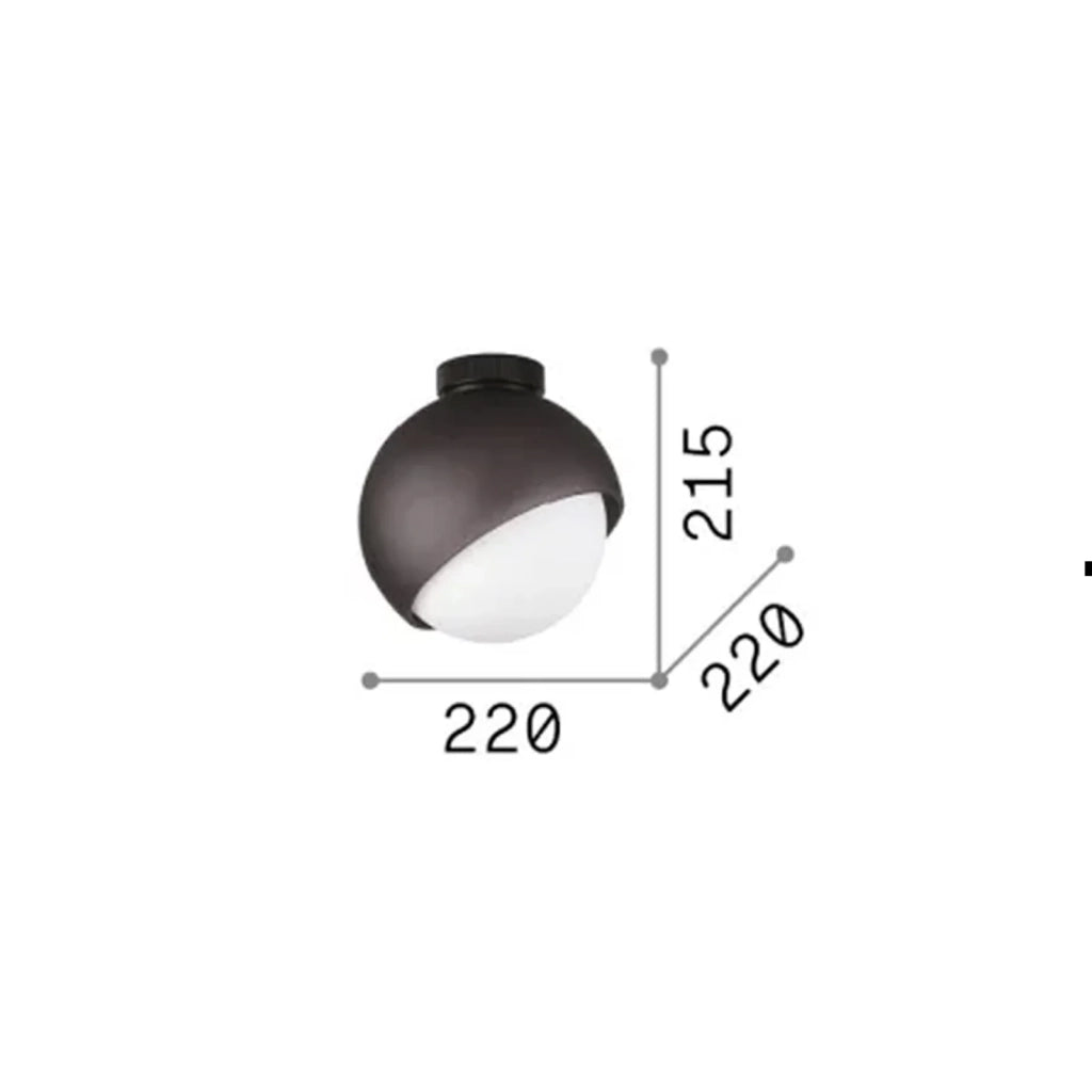 Plafoniera Contemporanea Bloom Metallo Nero Vetro Grigio 1 Luce E27 D22Cm