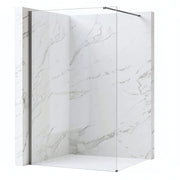 Parete Doccia Rea Flexi Transparent / Titan 100