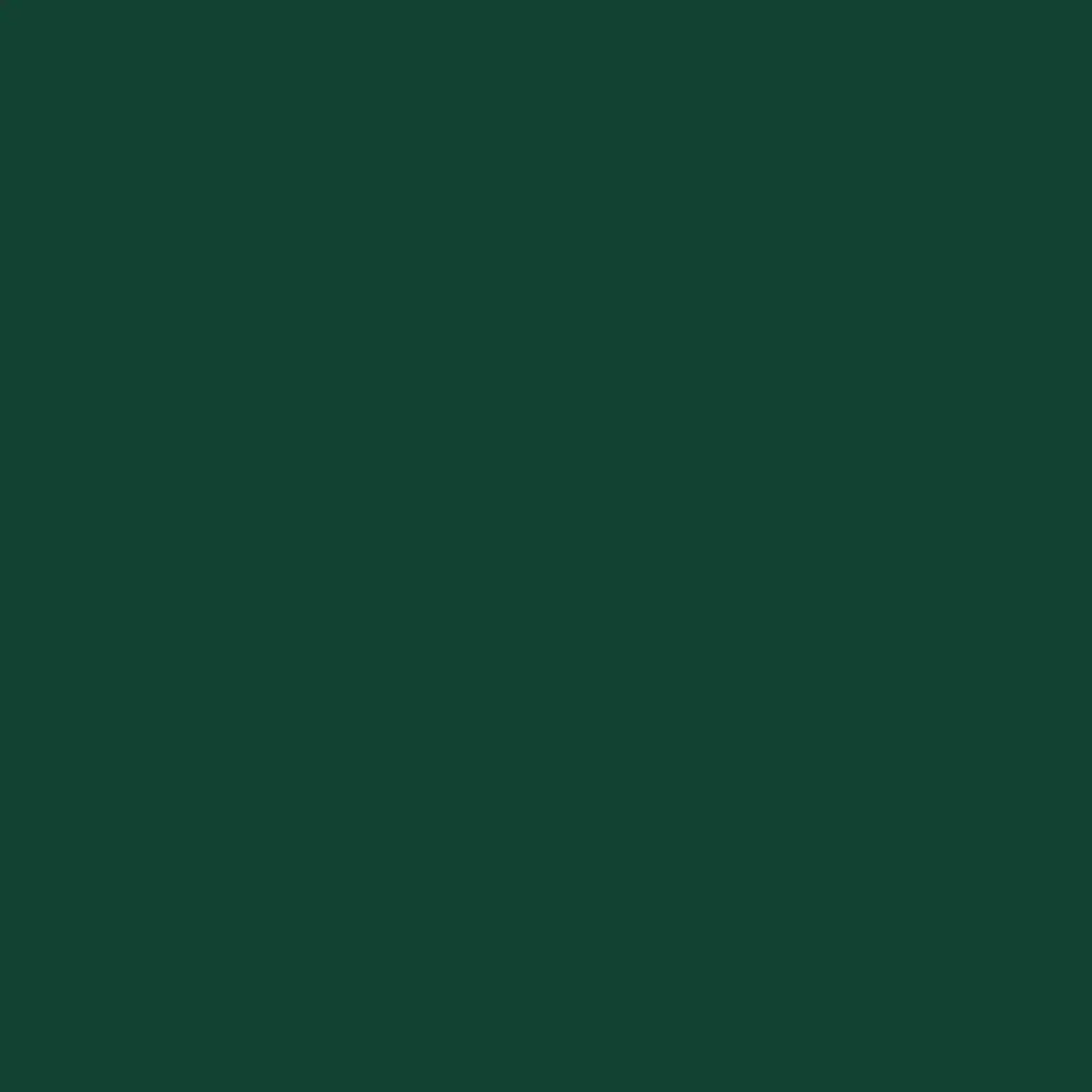 Capanno Giardino con Tetto Esteso Verde 277x107x181cm Acciaio CFW2622459