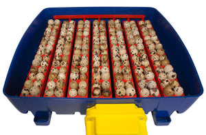 Incubatrice per Uova Automatica Professionale Borotto Real 49