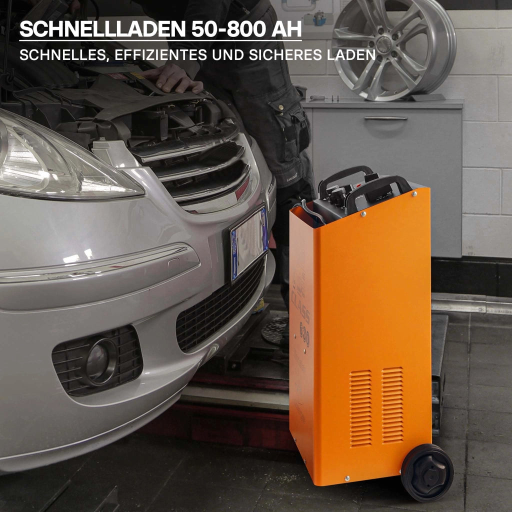 Caricabatterie 12V e 24V Boost 630 Caricatore per batterie piombo acido AGM