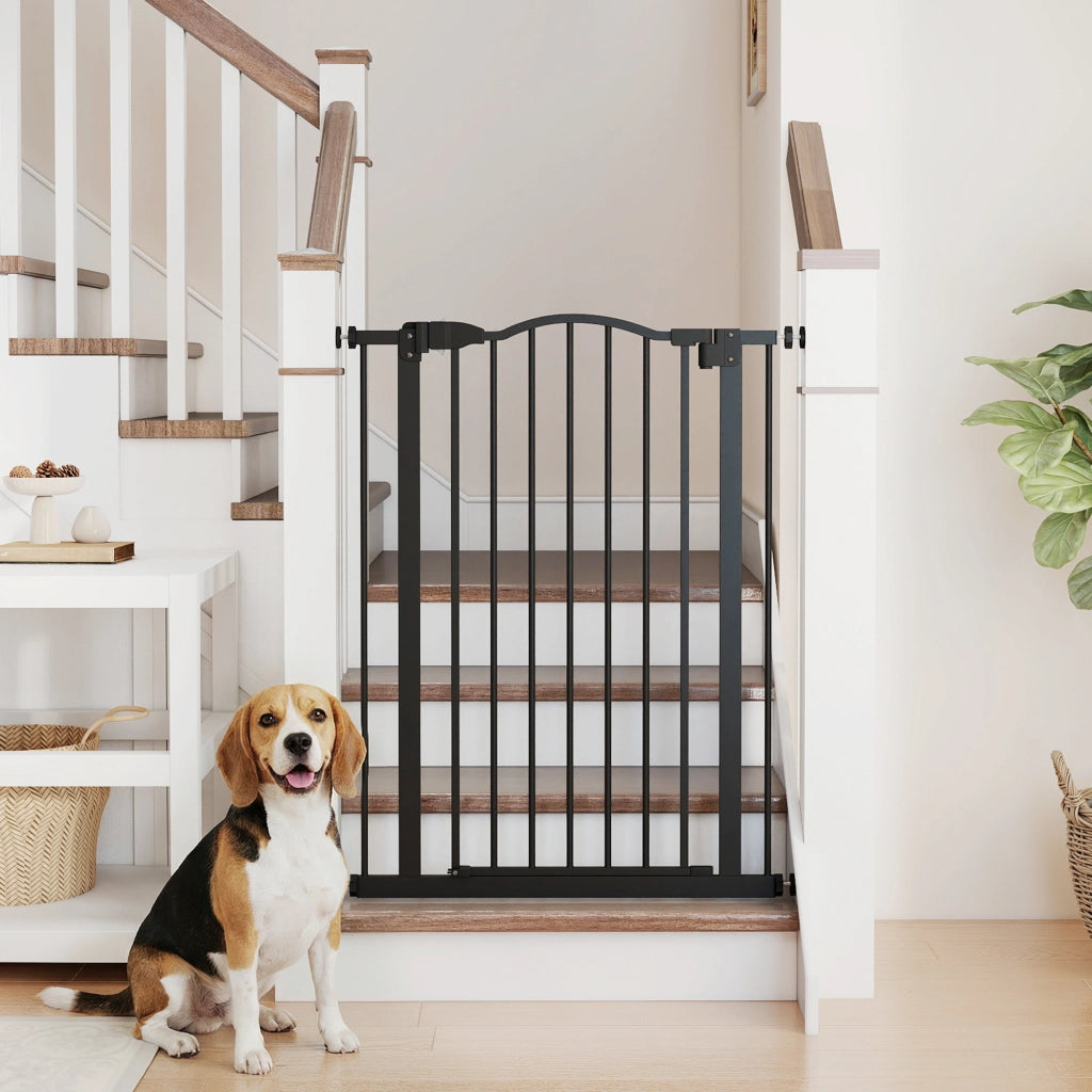 Barriera per cani estensibile ¨C Minimal ¨C 74-80 cm chiusura automatica a pressione nero