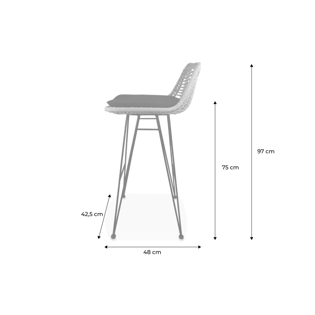 Set di 2 sgabelli da bar in metallo e rattan, nero