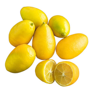 Pianta di CITRUS LIMEQUAT aurantifolia margarita MESSICANO VASO20 FOTO REALE