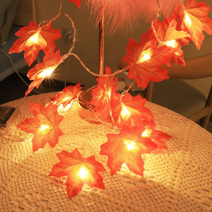 CATENA GHIRLANDA LUMINOSA 2 METRI 10 LED HALLOWEEN A BATTERIA AUTUNNO LUCI