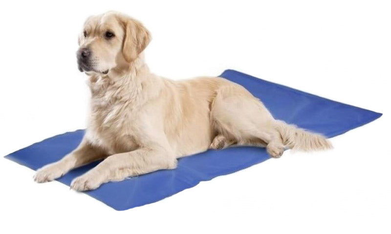 AIO FACTORY 50x90 cm Tappetino rinfrescante in gel blu Letto per cani impermeabile
