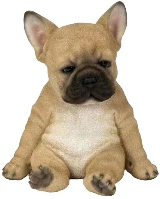 Statua di un Bulldog Francese - Ornamento per Cani - Decorazione per Giardino - Statuetta Realistica - Decorazione Esterna - Hars Ecologico