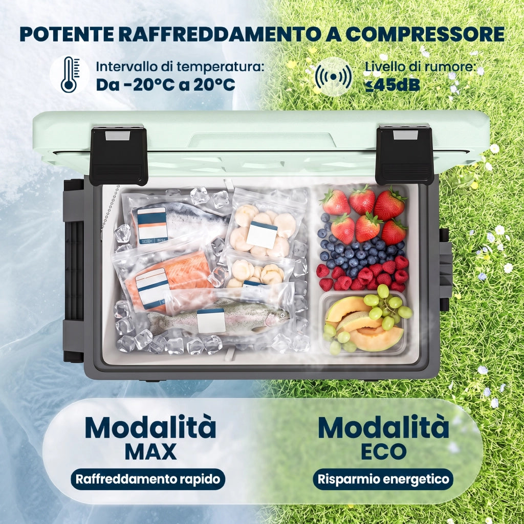 Frigorifero Portatile 42.5L a Compressore con Controllo App, -20¡æ a 20¡æ