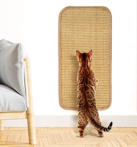 Mat per gatto in sisal naturale, mat per gatto per protezione dei tappeti e dei divani, mat per gatto con nastro adesivo e fissaggio a doppia aderenza, 50 x 25 cm