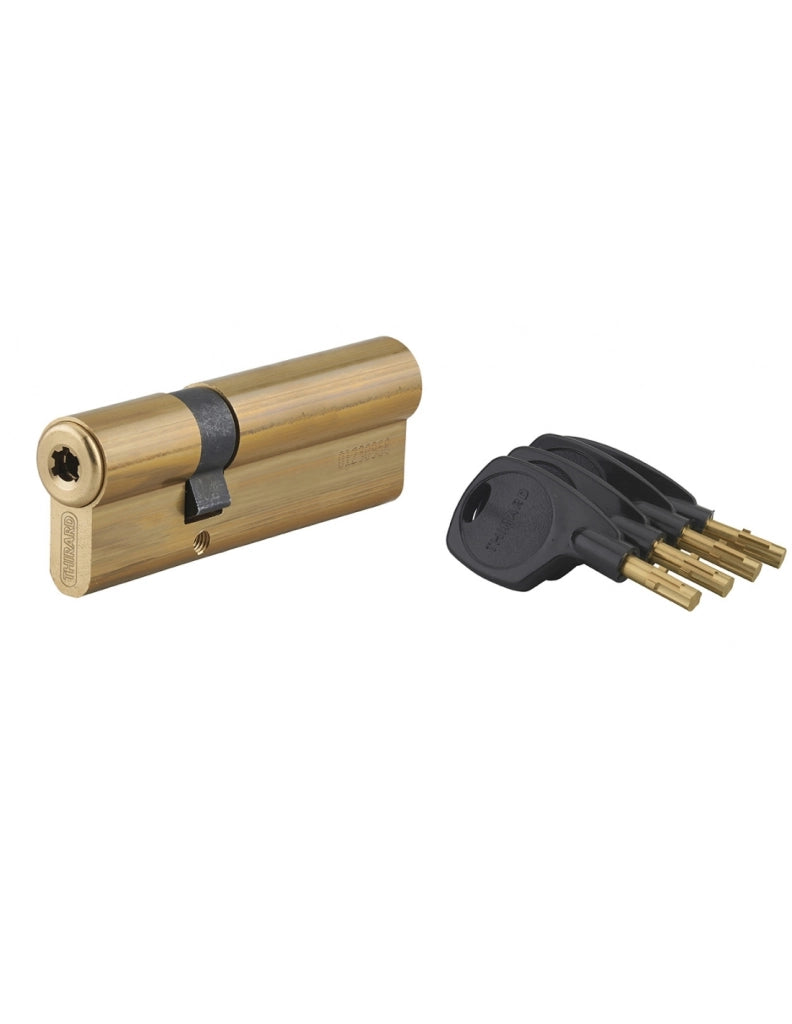 Cilindro europeo SURVEYOR 31 x 66 mm, 4 chiavi – THIRARD