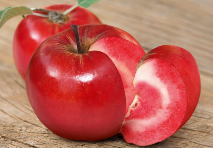 Melo red love polpa rossa H150 foto reali