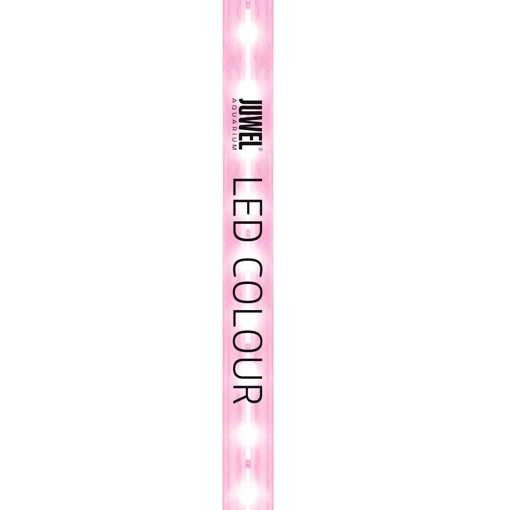 Juwel Neon LED T5 Colour - Lampada a LED con Attacco T5 4425°K per Acquari Juwel Wattaggio lampade: 19W/742mm