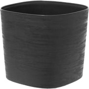Teraplast insula capri 19 black capri 19 black