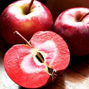 Melo red love polpa rossa H150 foto reali