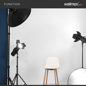 2in1 Sfondo in tessuto 2,85x6m, B/N