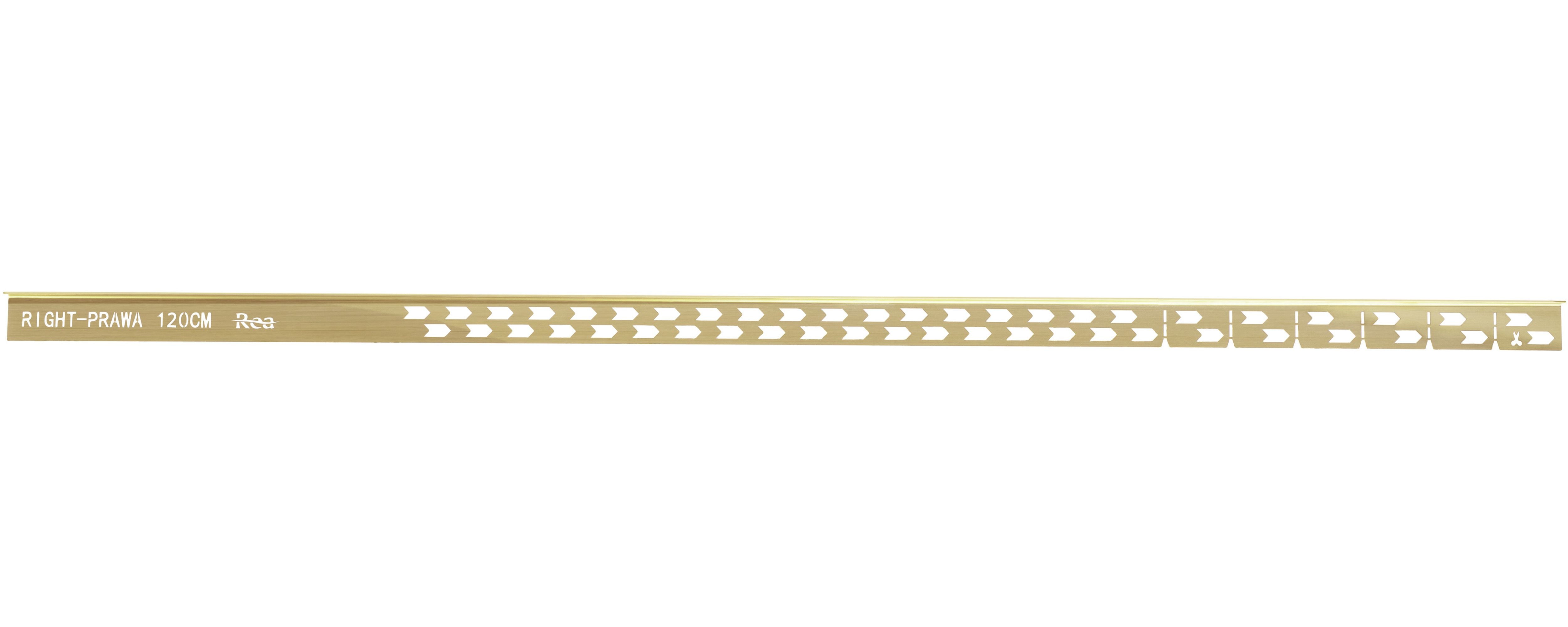 Profilo Doccia Pendenzato 120cm Brush Gold destra