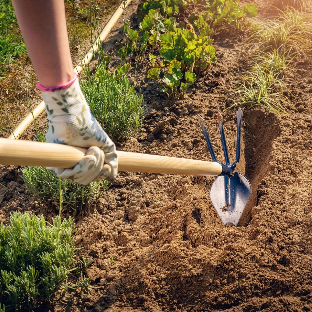Zappa da giardino KADAX per scavare con forca da 9,5 cm, gancio da 132 cm