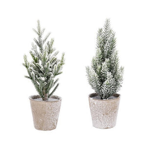 Mini Albero di Natale Pino Innevato Parrot