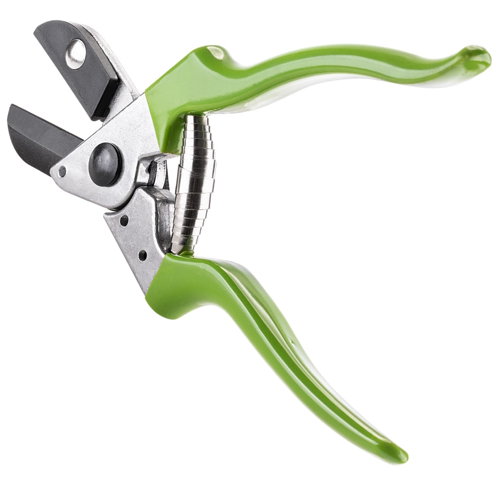 KADAX Nożyce do róży P21169 K16349