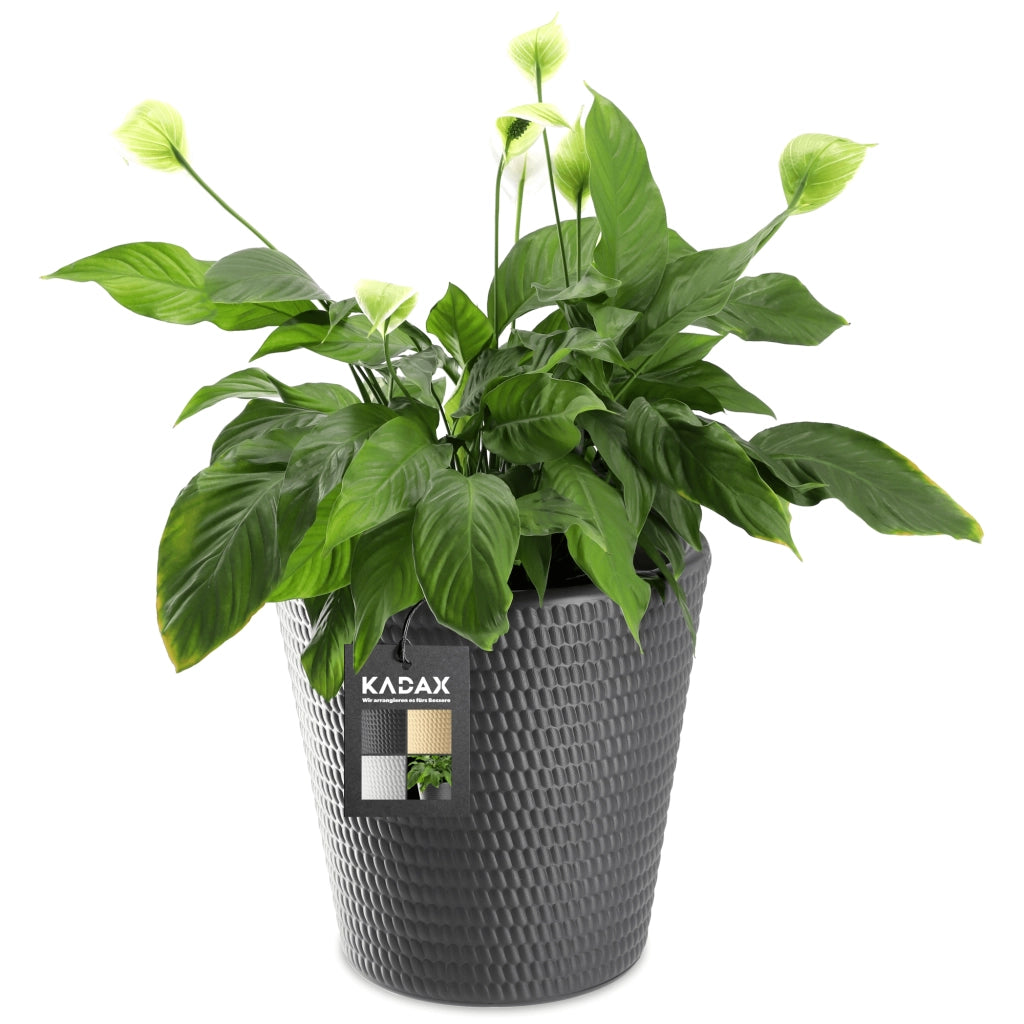 Vaso da fiori KADAX in plastica, rotondo, 30 cm, color antracite