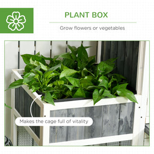 Pollaio Gabbia per Galline da Esterno 161,5x62,5x115 cm in Legno Grigio