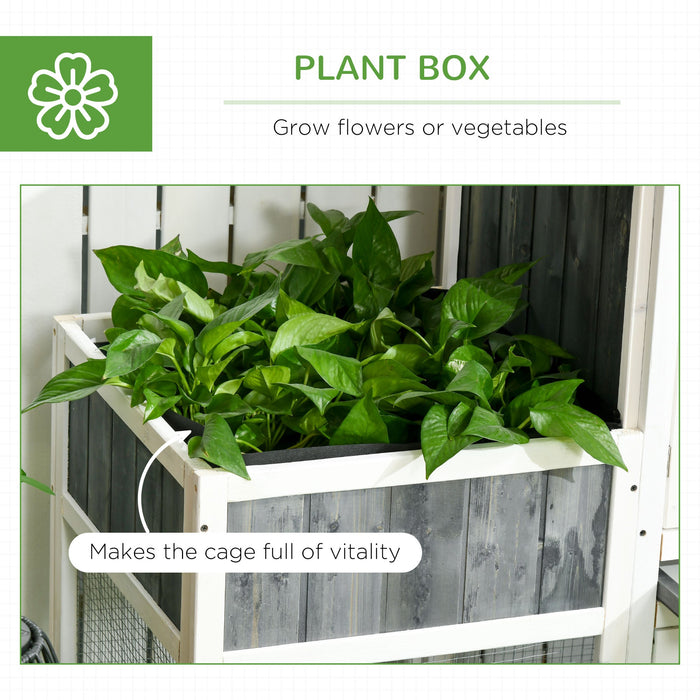 Pollaio Gabbia per Galline da Esterno 161,5x62,5x115 cm in Legno Grigio