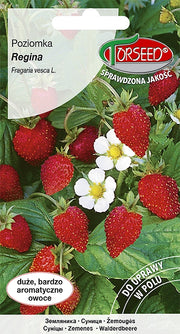 Regina fragolina di bosco 0,2g
