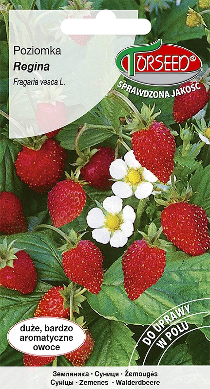 Regina fragolina di bosco 0,2g