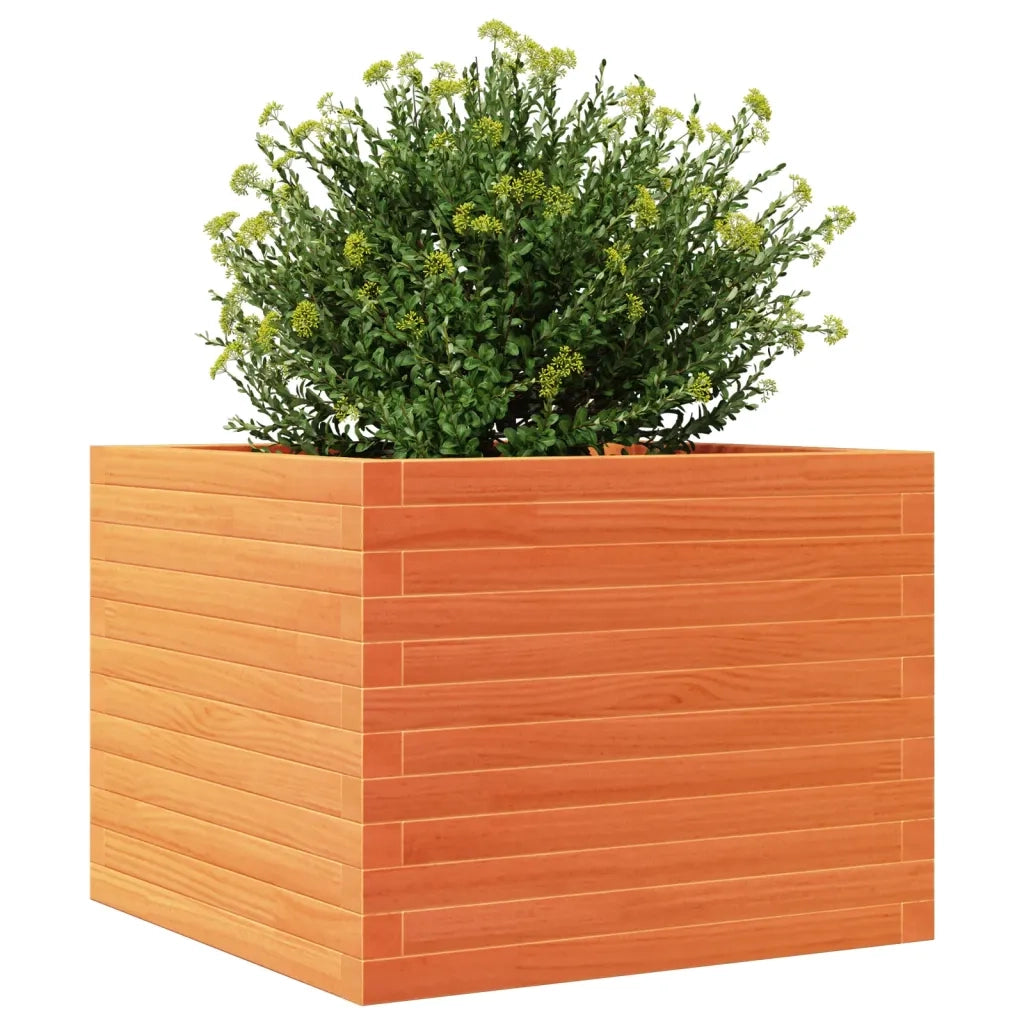 Fioriera Giardino Marrone Cera 60x60x46 cm Legno Massello Pino 3282411