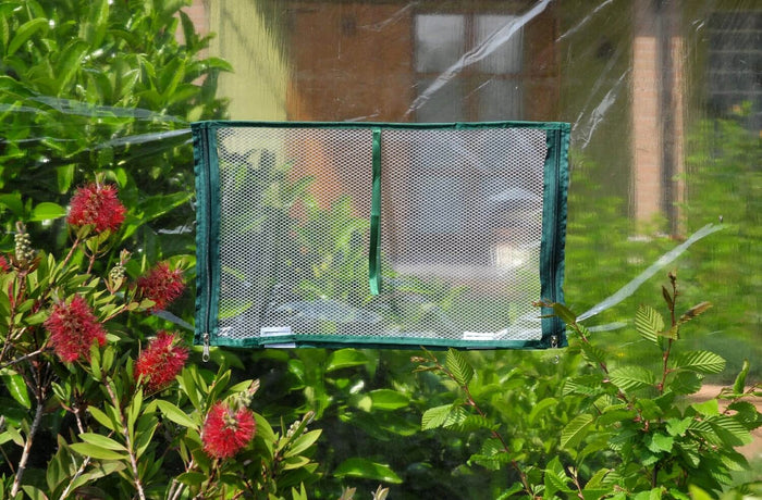 Serra da Giardino in Acciaio con Telo Rama Narciso Verde