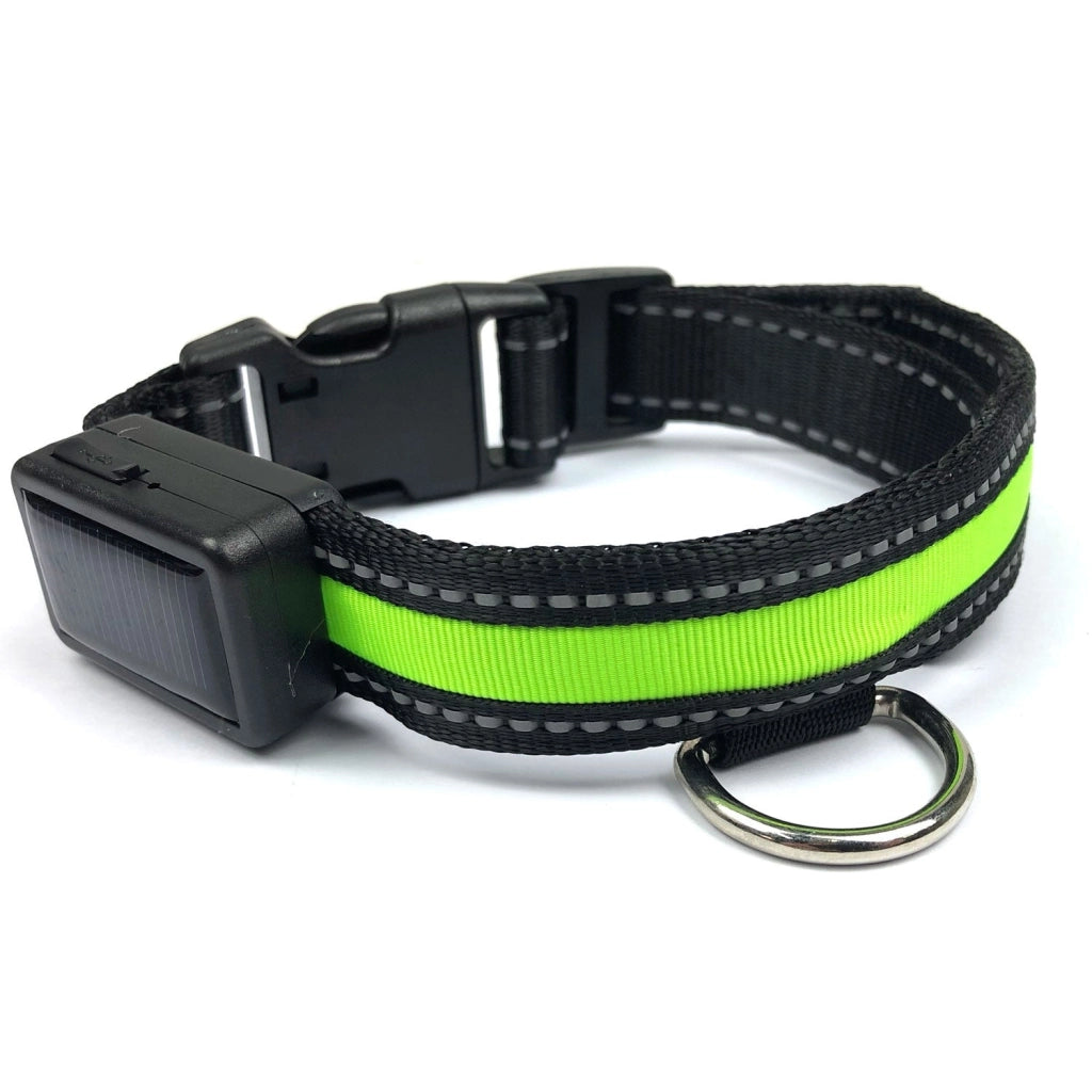 Collare luminoso a LED Taglia L per cani a ricarica solare e usb Giallo