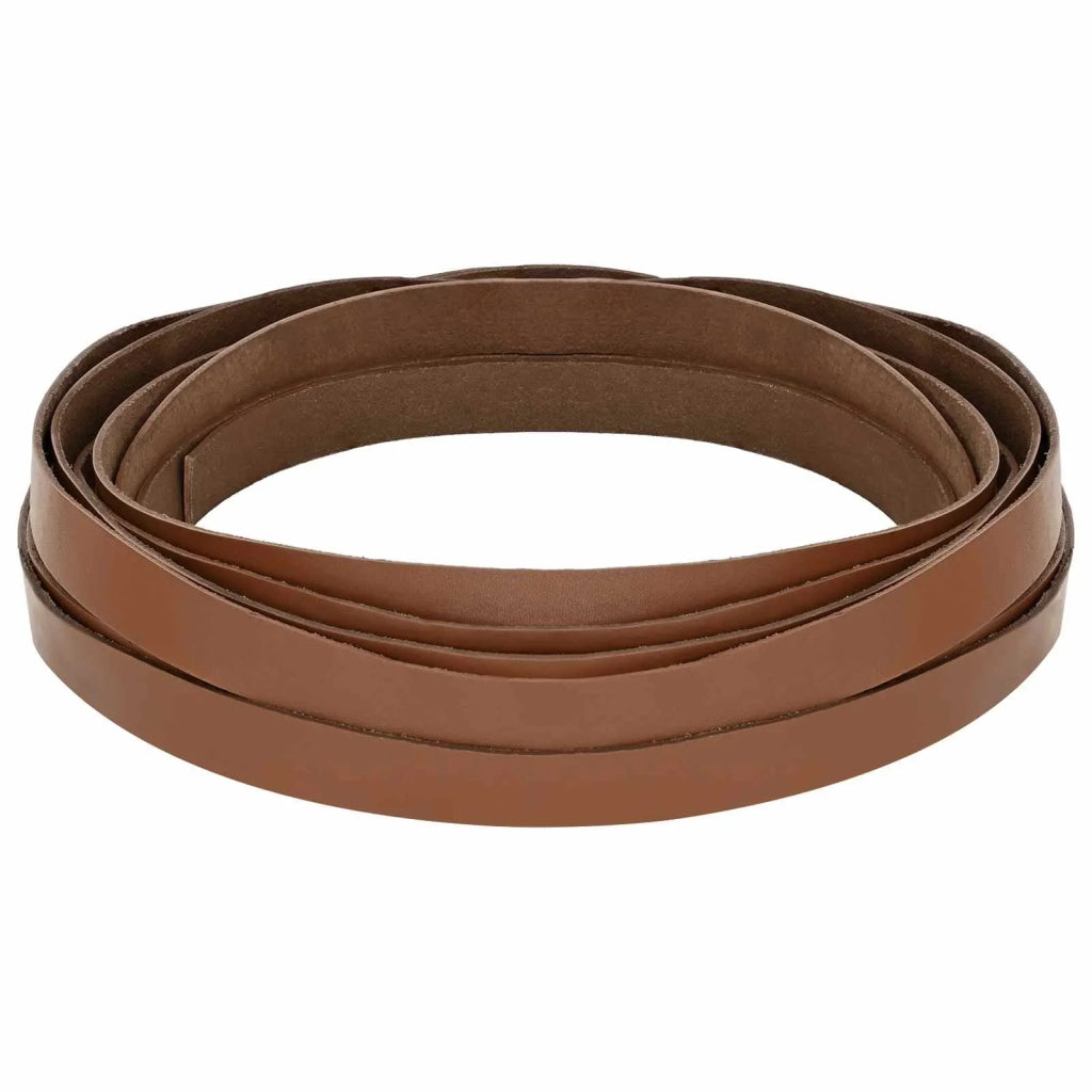 Cinturino in pelle Marrone 200 x 1,5 cm Pelle 42034217