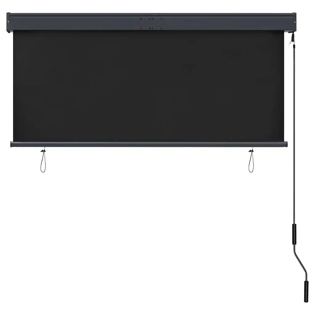 Tenda a Rullo per Esterni 140x250 cm Antracite cod mxl 68272