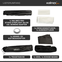 Studio Striplight Softbox 40x180cm + adattatore softbox per Hensel Expert, ruotabile a 360°, facile da montare grazie alla funzione ombrello, include griglia, maschera
